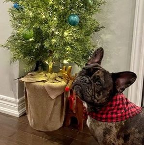 Meet your Posher, Chantal